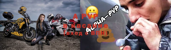 гидра Новозыбков