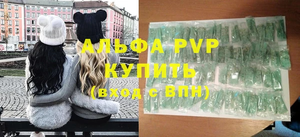 хмурый Нея