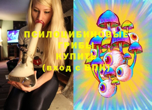 гидра Новозыбков