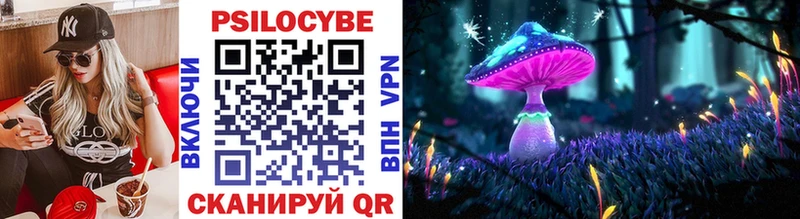 Псилоцибиновые грибы Cubensis  Ртищево 