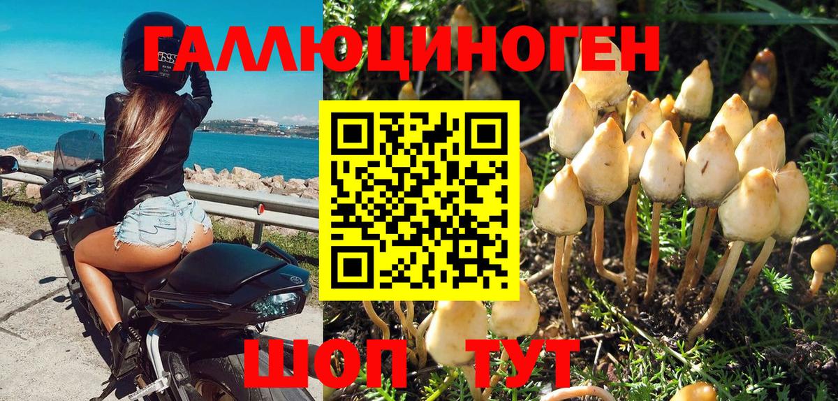 Псилоцибиновые грибы прущие грибы  даркнет сайт  Ртищево 
